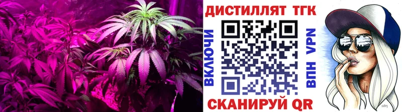 закладки  Куровское  Дистиллят ТГК Wax 