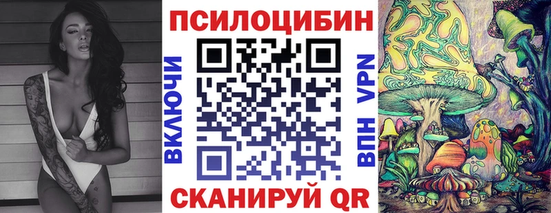Галлюциногенные грибы Cubensis  Куровское 
